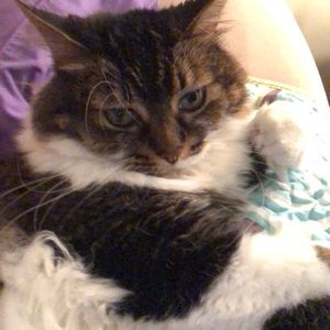 Meet your Posher, Elizabeth